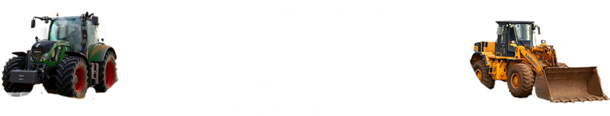Starten Sie jetzt mit einem erprobten System Ihr eigenes Business als Chiptuning-Spezialist!